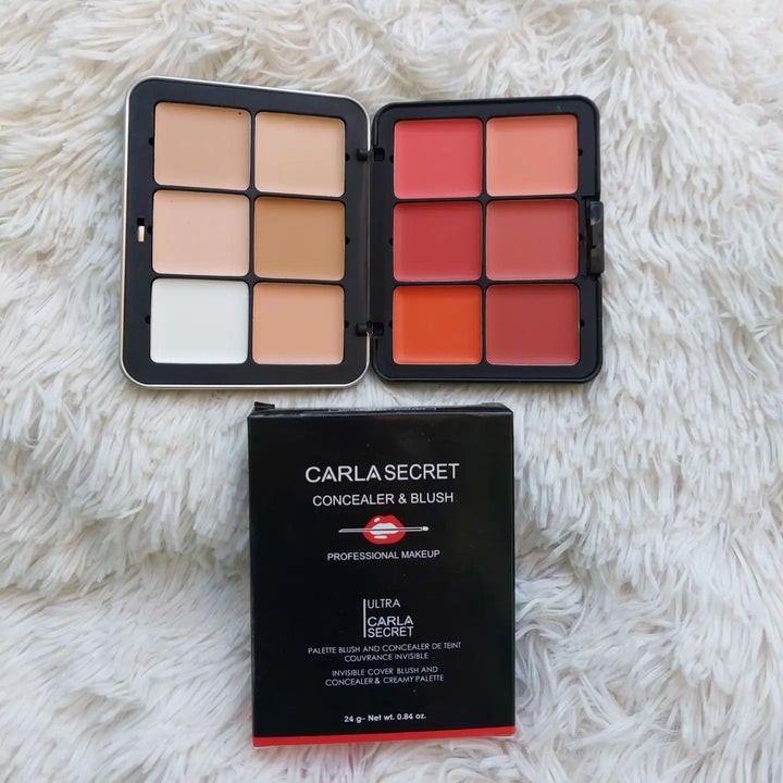 2 IN 1 CARLA SECRET CREAM BLUSH AND CONCEALER PALETTE